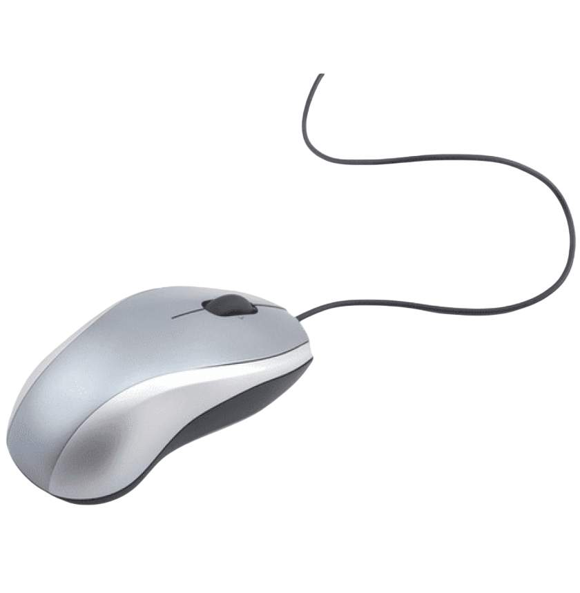 mouse