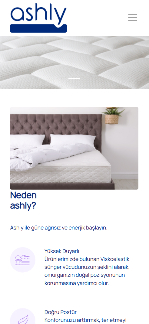 Mobil Görünüm